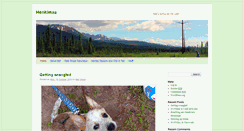 Desktop Screenshot of henkimaa.com